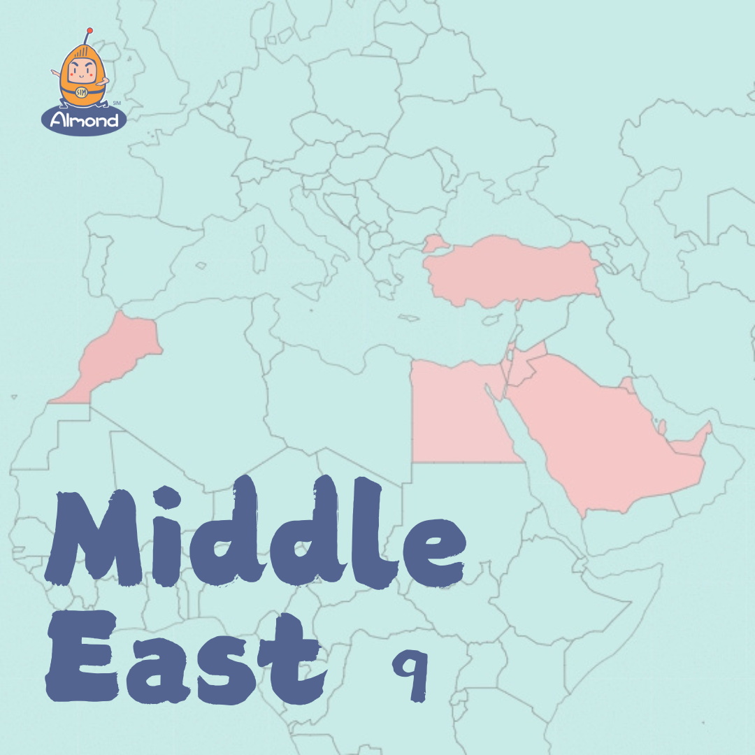 9 Middle East countries  eSIM images